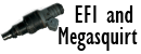 EFI Icon