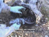 Technote picture