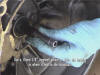 Technote picture