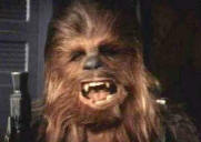 chewbacca